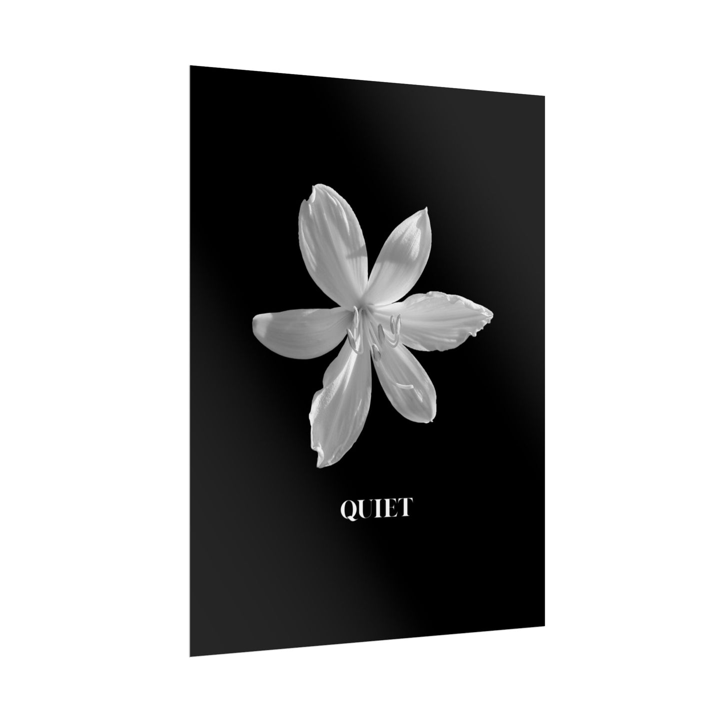 Elegant Floral Wall Art