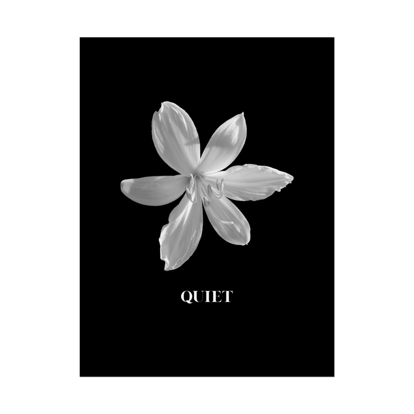 Elegant Floral Wall Art