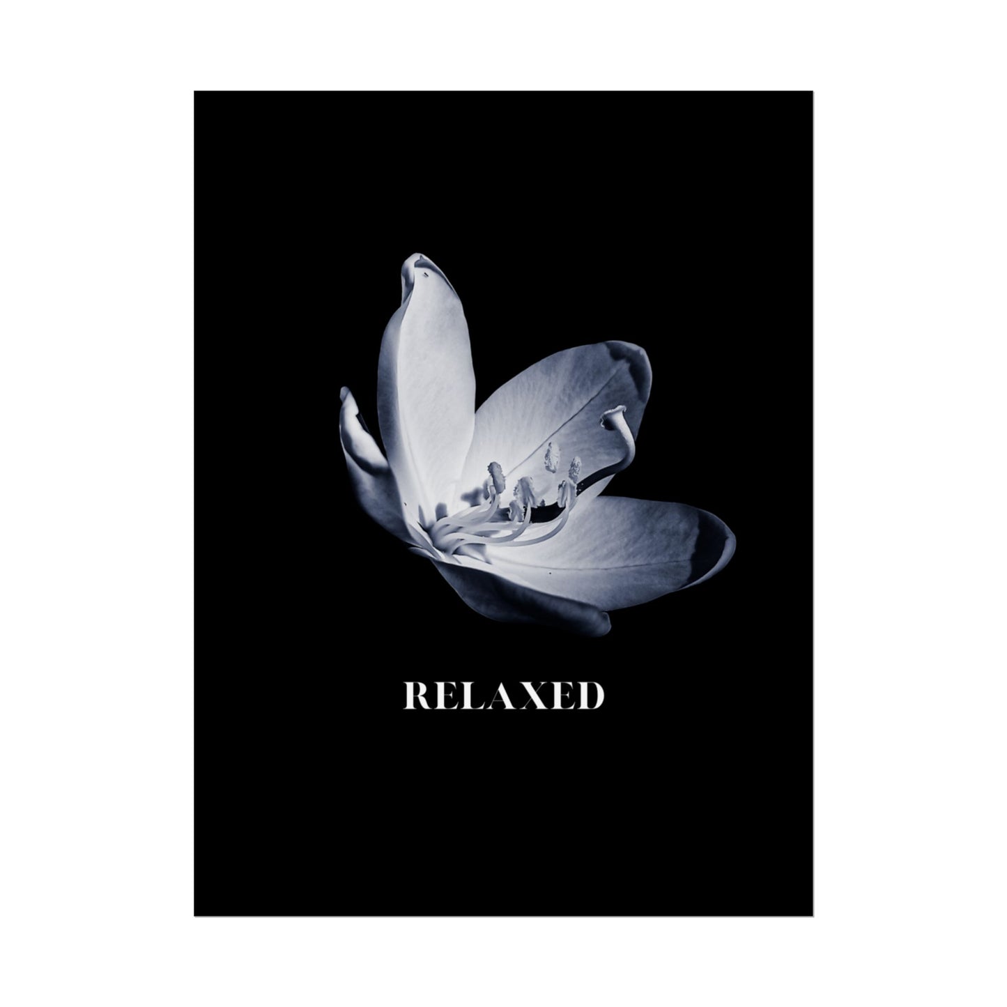 Relaxing Floral Rolled Poster